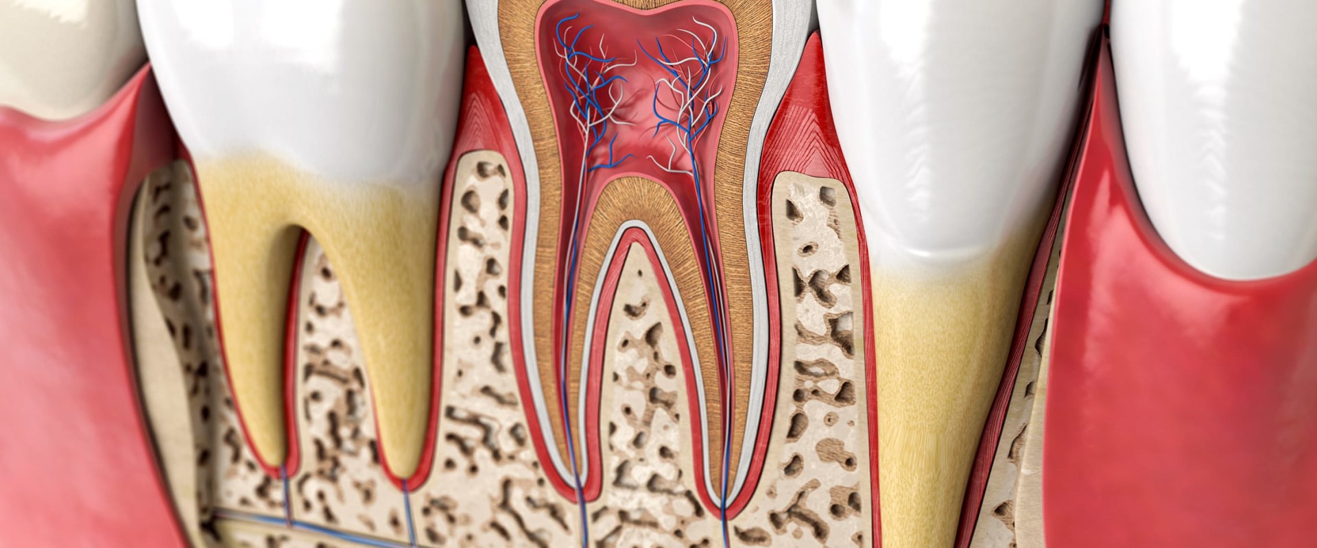 Why an Endodontist is the Best Choice for Root Canal Treatment